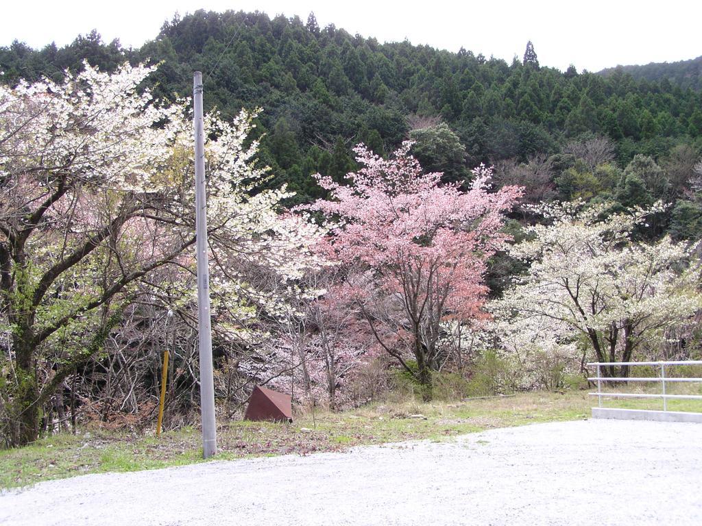 Irorino Yado Sankichi Hotel Izu  Buitenkant foto