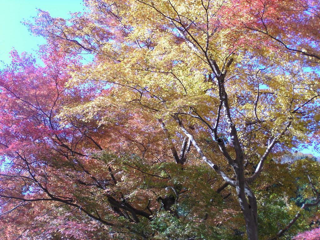 Irorino Yado Sankichi Hotel Izu  Buitenkant foto